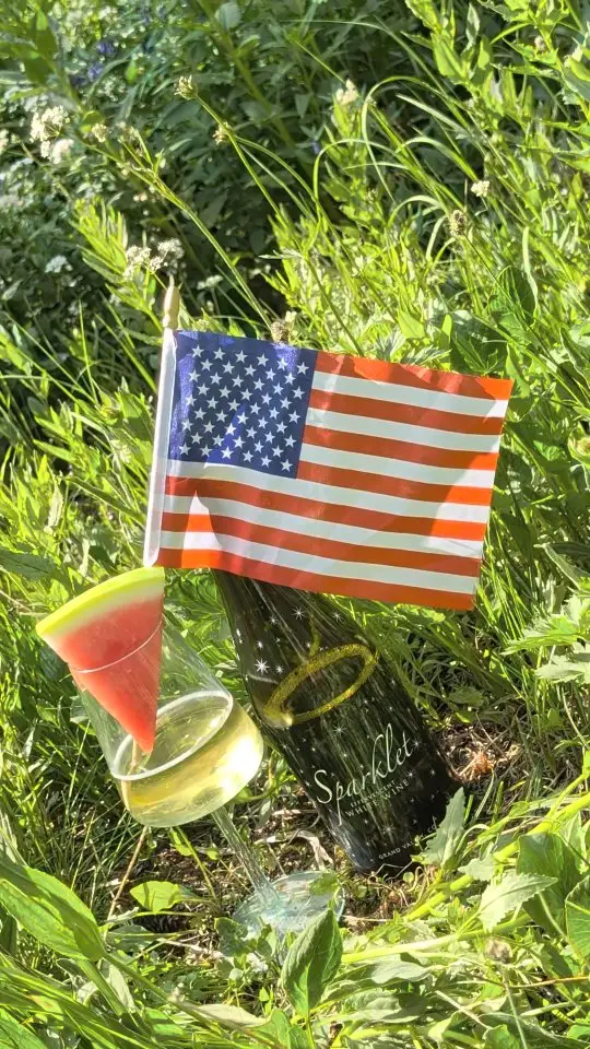 ❤️🍷🤍🥂💙🌭