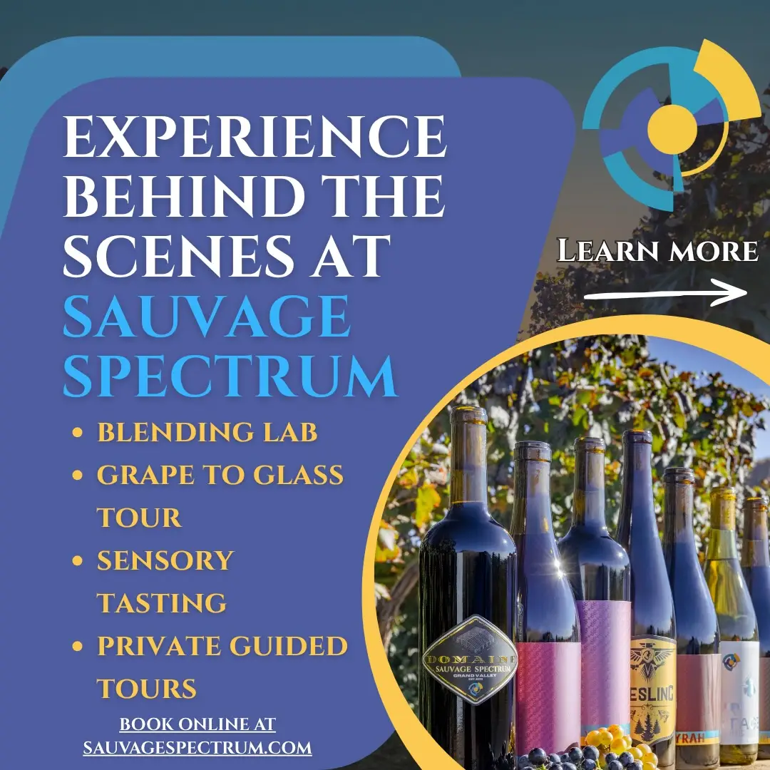 Experience wine in a whole new way 🍷
We’re excited to offer a variety of winery experiences and tours designed to take you beyond the tasting room. From guided tastings and blendings to vineyard adventures, there’s a new way to connect with our wines and expand your knowledge!

Book your experience and come discover what makes every pour unique.

Link in our bio!